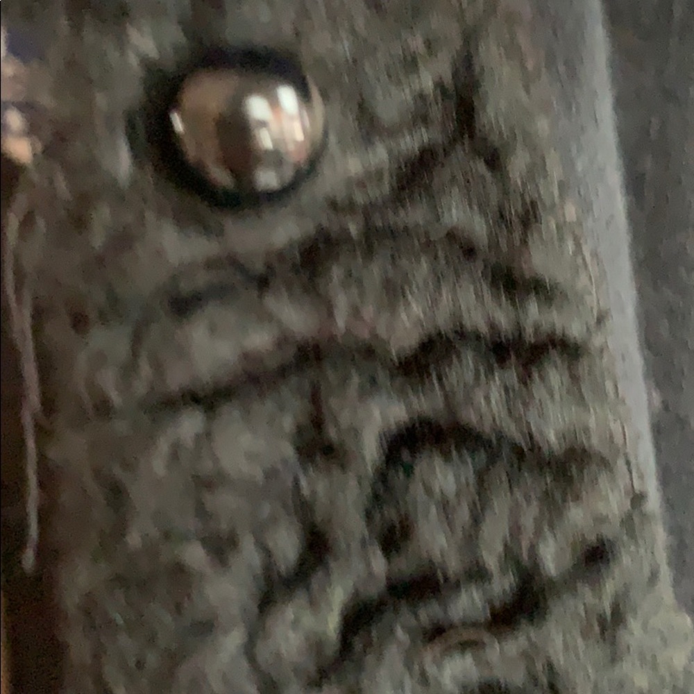 Black Cape - image 5